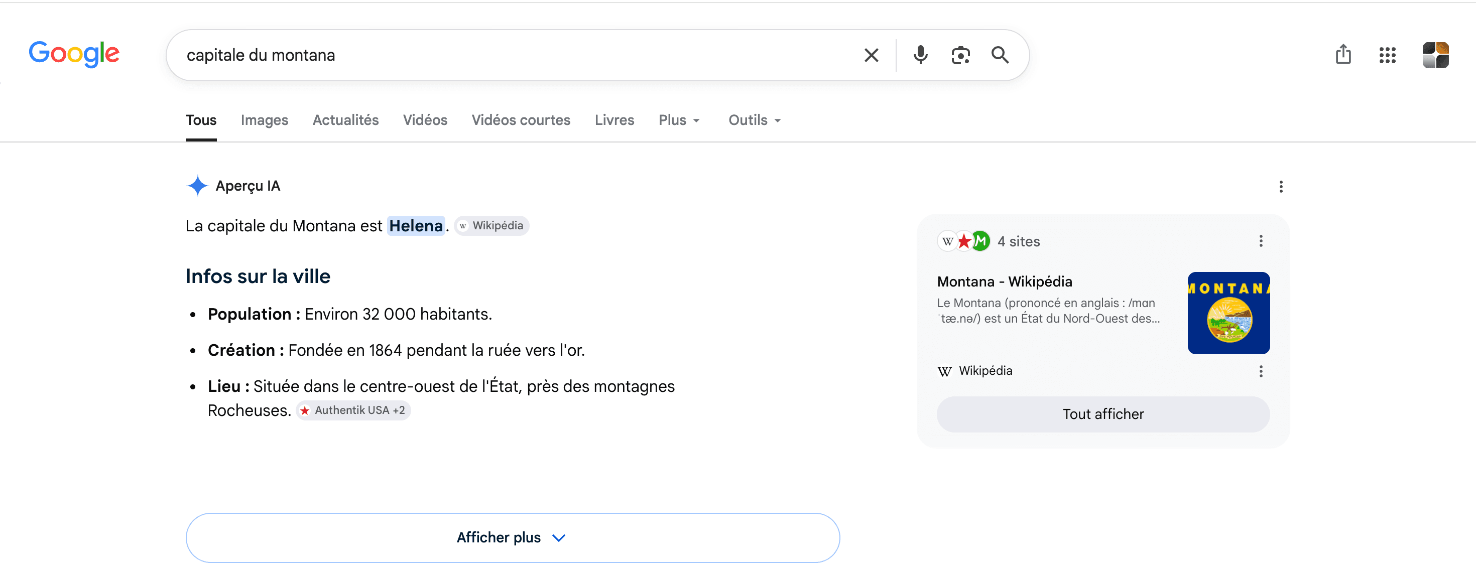 Capture d'écran d'un aperçu IA